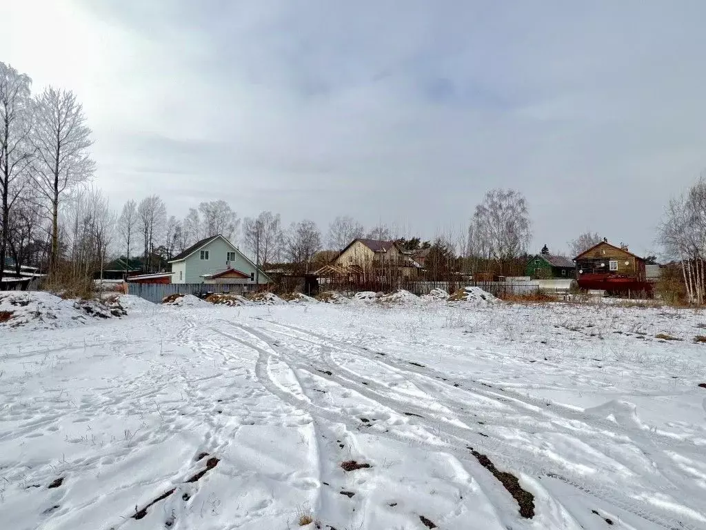 Участок в Ленинградская область, Приморск Школьная ул. (20.0 сот.) - Фото 1