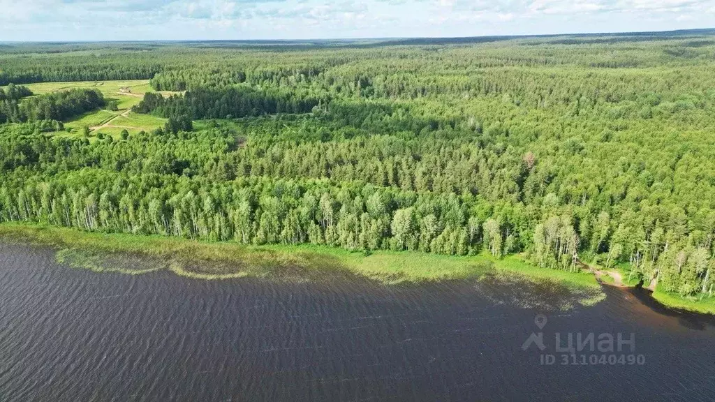 Участок в Ленинградская область, Приозерский район, Красноозерное ... - Фото 1