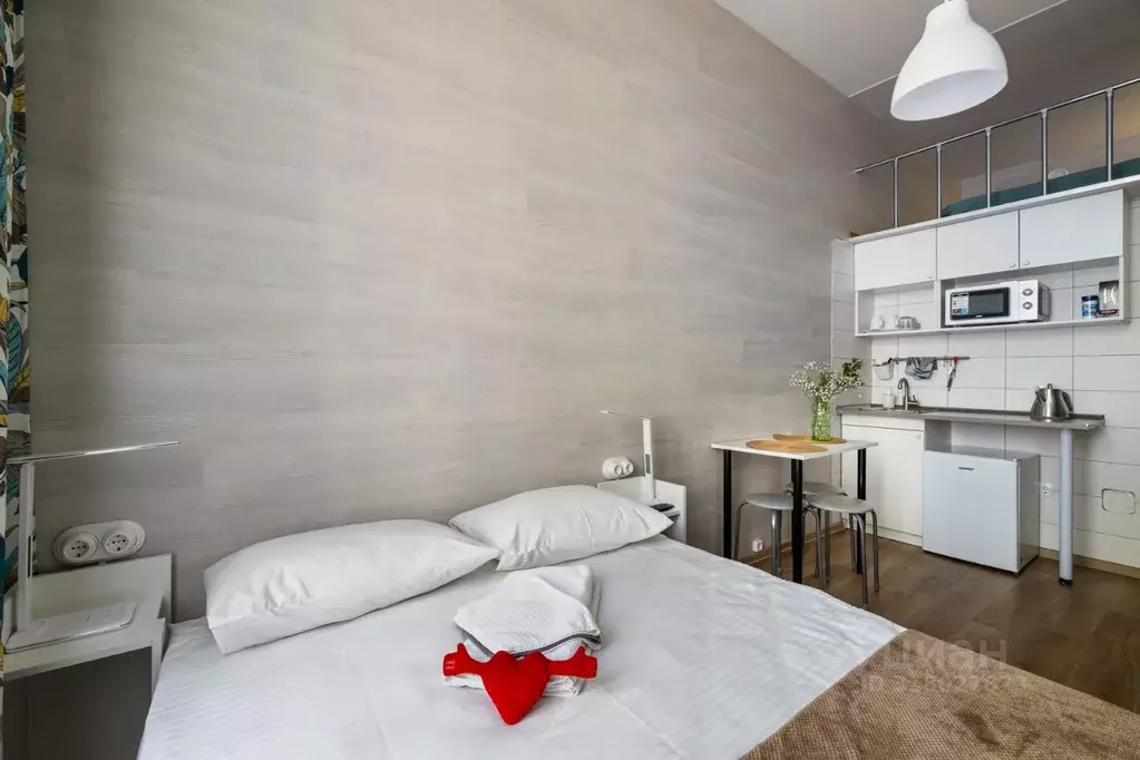 Студия Санкт-Петербург Вознесенский просп., 53 (19.0 м) - Фото 1