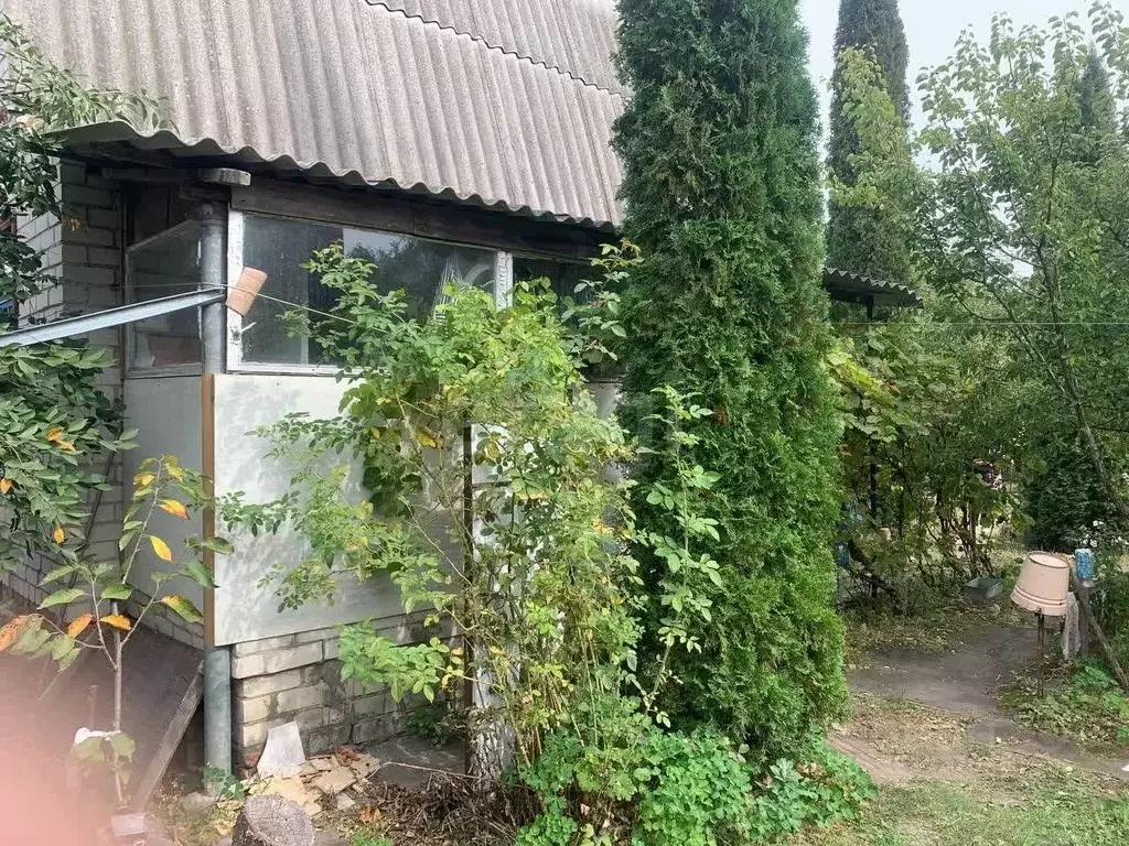Дом в Курская область, Курск Ветеран СНТ, 173 (30 м) - Фото 1