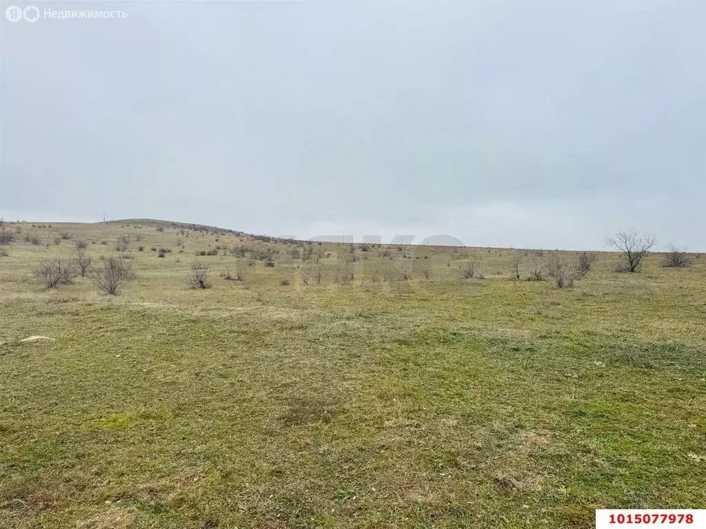 Участок в хутор Новый Сад, улица Ленина, 1 (12 м) - Фото 2