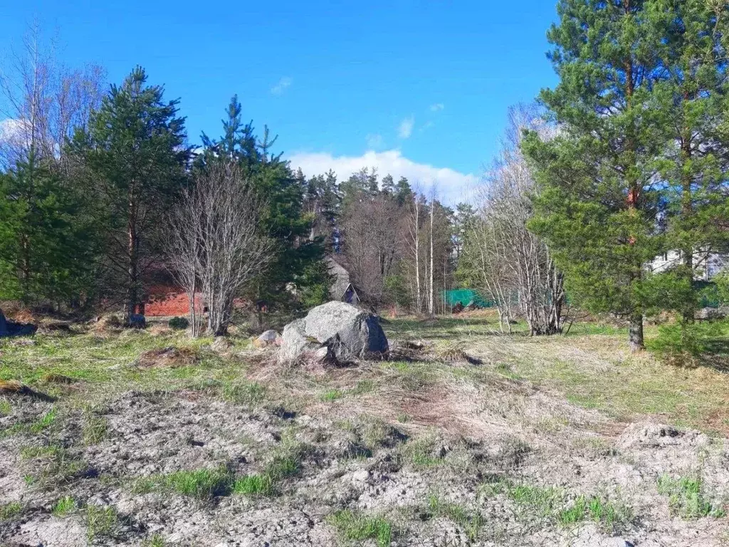 Участок в Ленинградская область, Приозерский район, Мельниковское ... - Фото 1