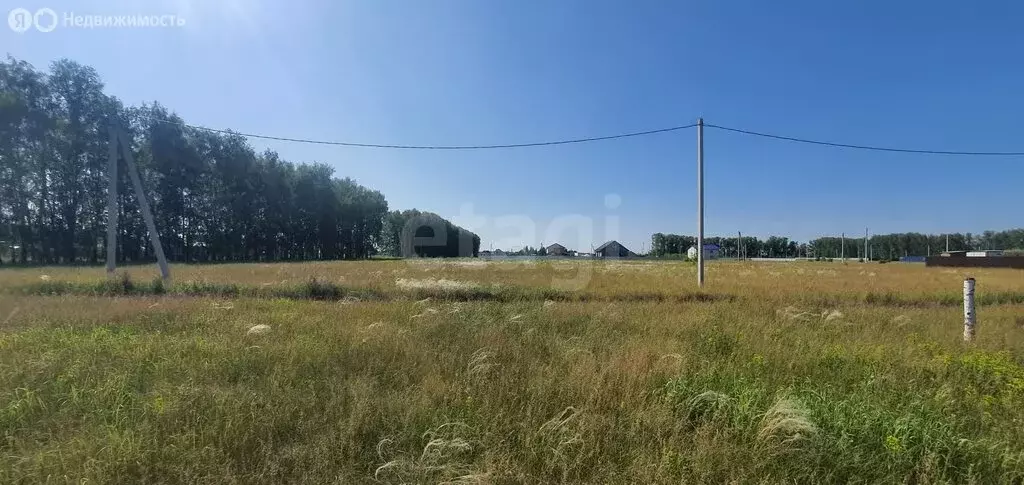 Участок в Омский район, село Усть-Заостровка (10 м) - Фото 1