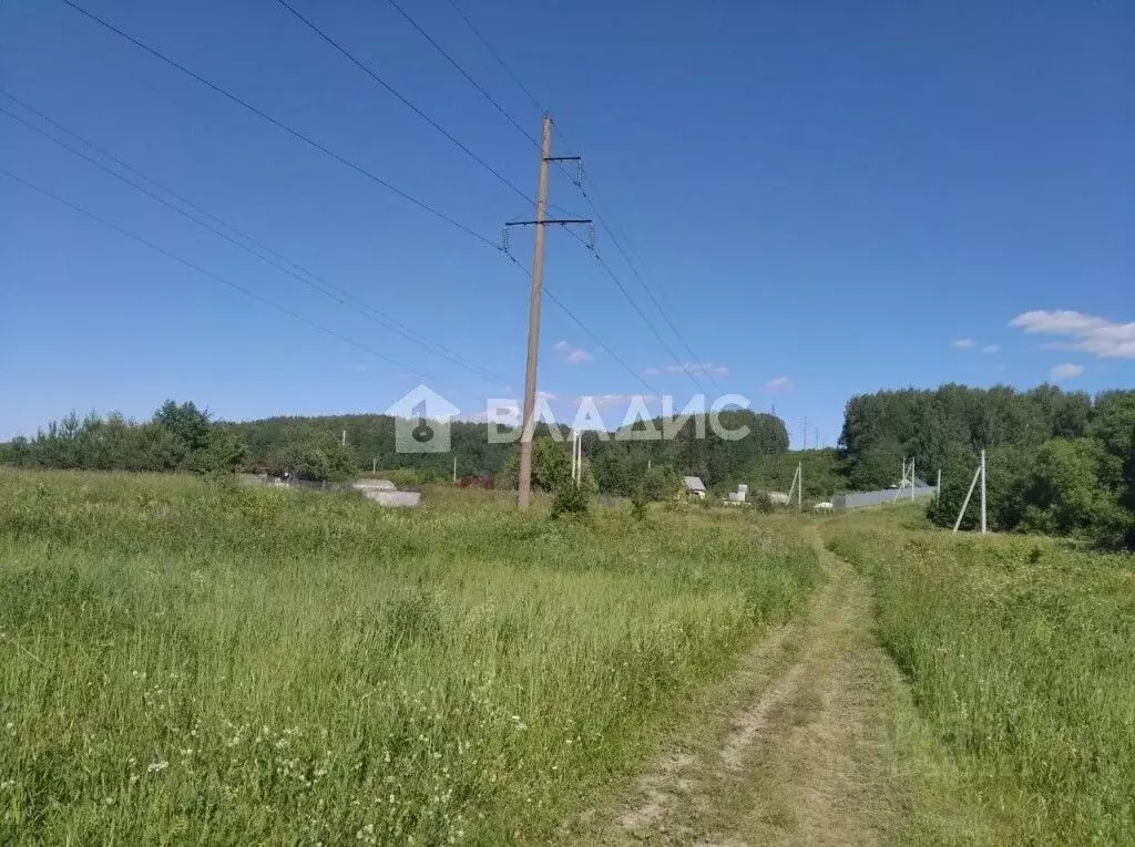 Участок в Владимирская область, Суздальский район, Новоалександровское ... - Фото 1