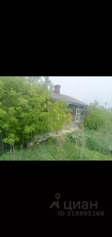 Дом в Омская область, Горьковский район, с. Павлодаровка Веселая ул. ... - Фото 0