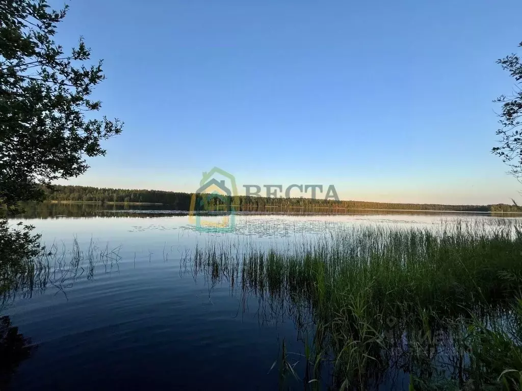 Участок в Ленинградская область, Приозерский район, Громовское с/пос, ... - Фото 1