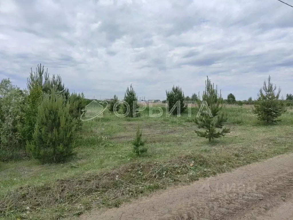 Участок в Тюменская область, Тюменский муниципальный округ, Серебряный ... - Фото 1