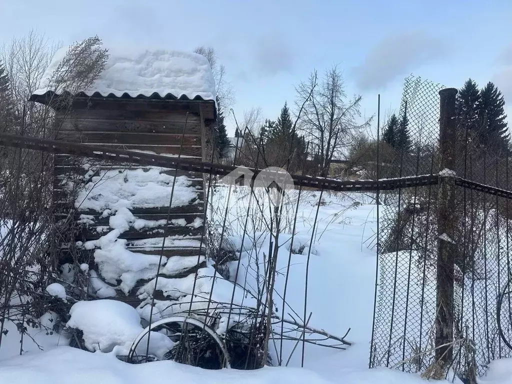 Участок в Новосибирская область, Новосибирск Тополь СНТ, 5-й сектор, ... - Фото 2