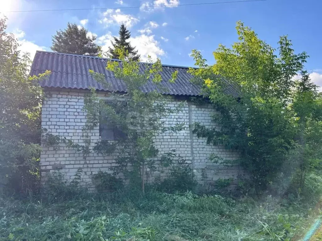 Участок в Брянская область, Брянск Десна-2 садовое общество,  (10.54 ... - Фото 1