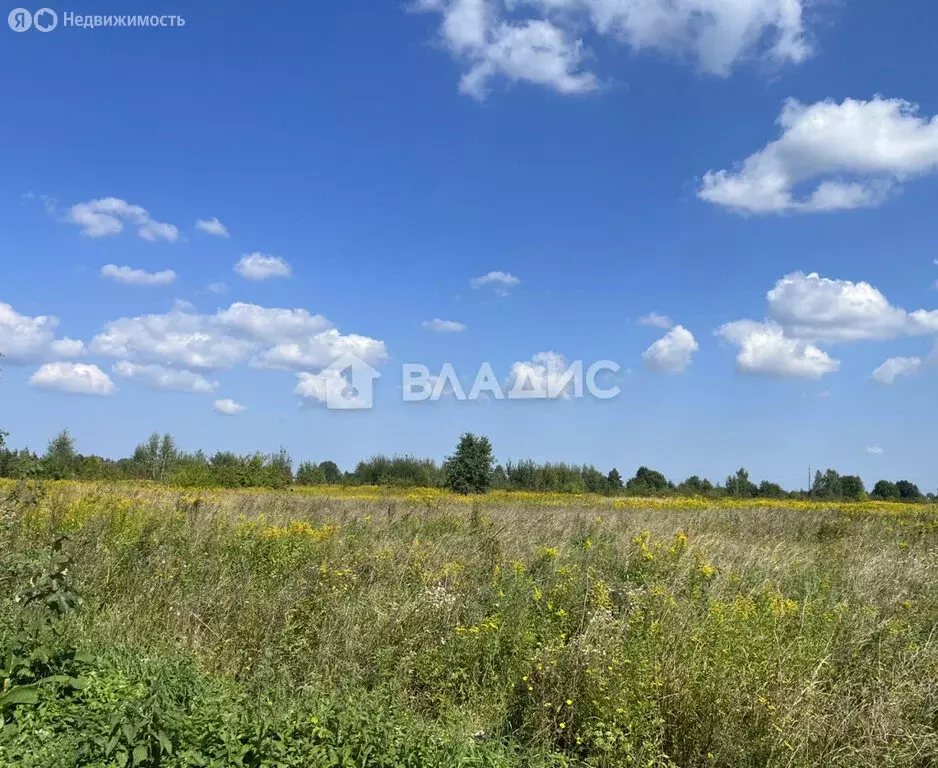 Участок в посёлок Калиновка, Кленовая улица (500 м) - Фото 1