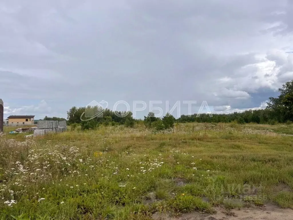 Участок в Тюменская область, Нижнетавдинский район, с. Тюнево  (9.2 ... - Фото 1