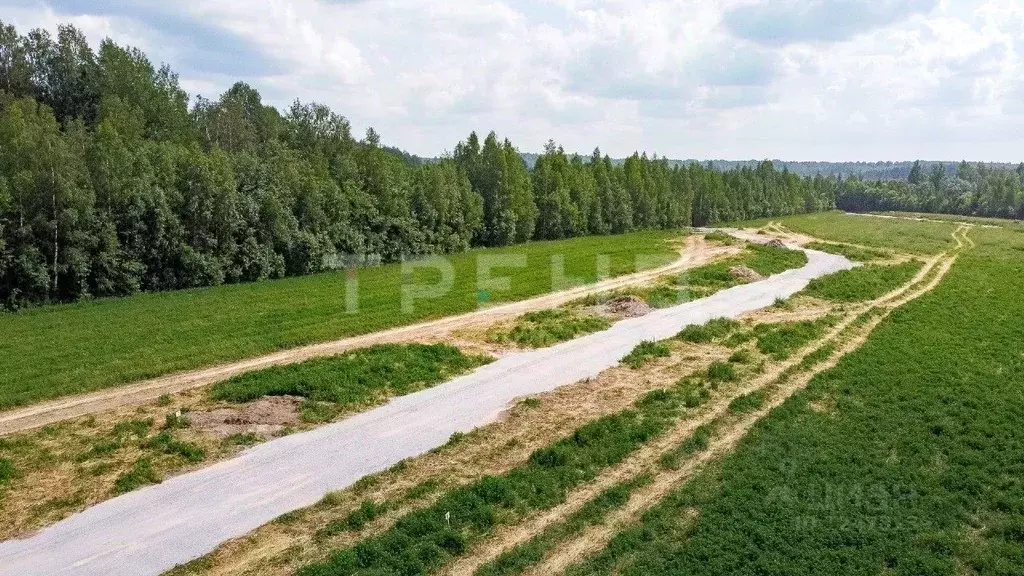 Участок в Ленинградская область, Выборгский район, Советское городское ... - Фото 1