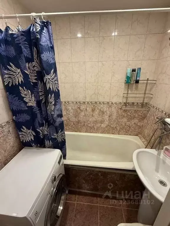 1-к кв. Новосибирская область, Новосибирск ул. Плахотного, 76 (32.7 м) - Фото 0