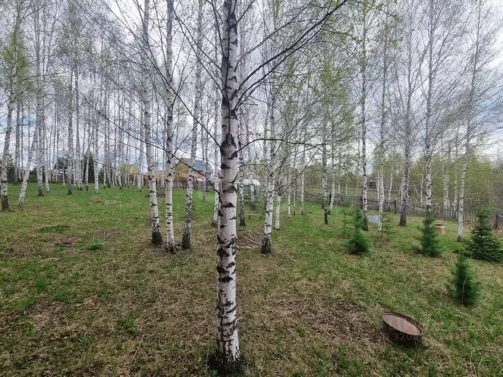 Участок в Кемеровская область, Кемеровский район, с. Андреевка ул. ... - Фото 1