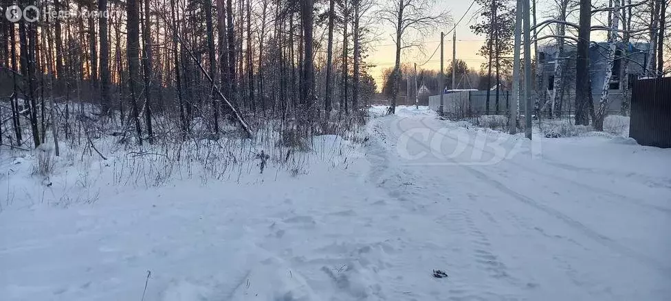 Участок в Тюменская область, Нижнетавдинский муниципальный округ, село ... - Фото 1