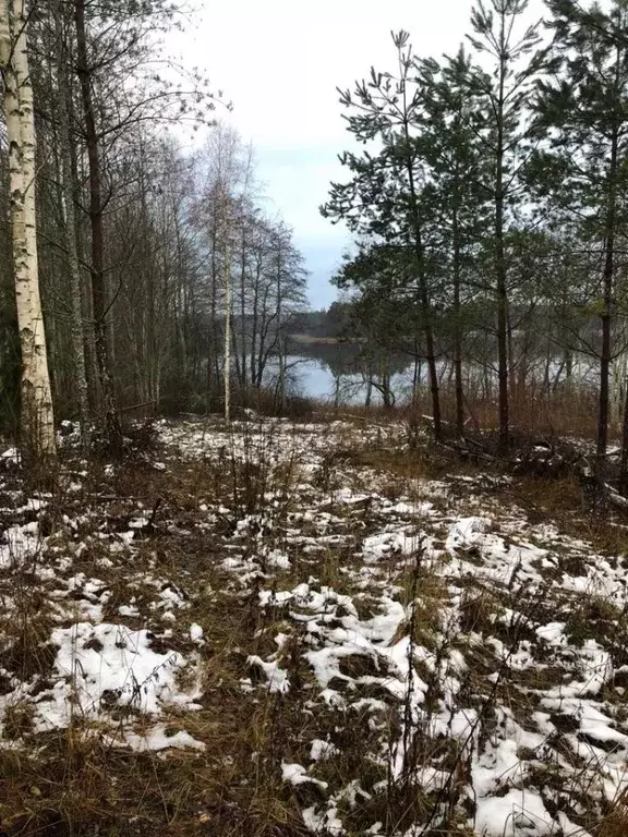 Участок в Псковская область, Невельский муниципальный округ, д. ... - Фото 0