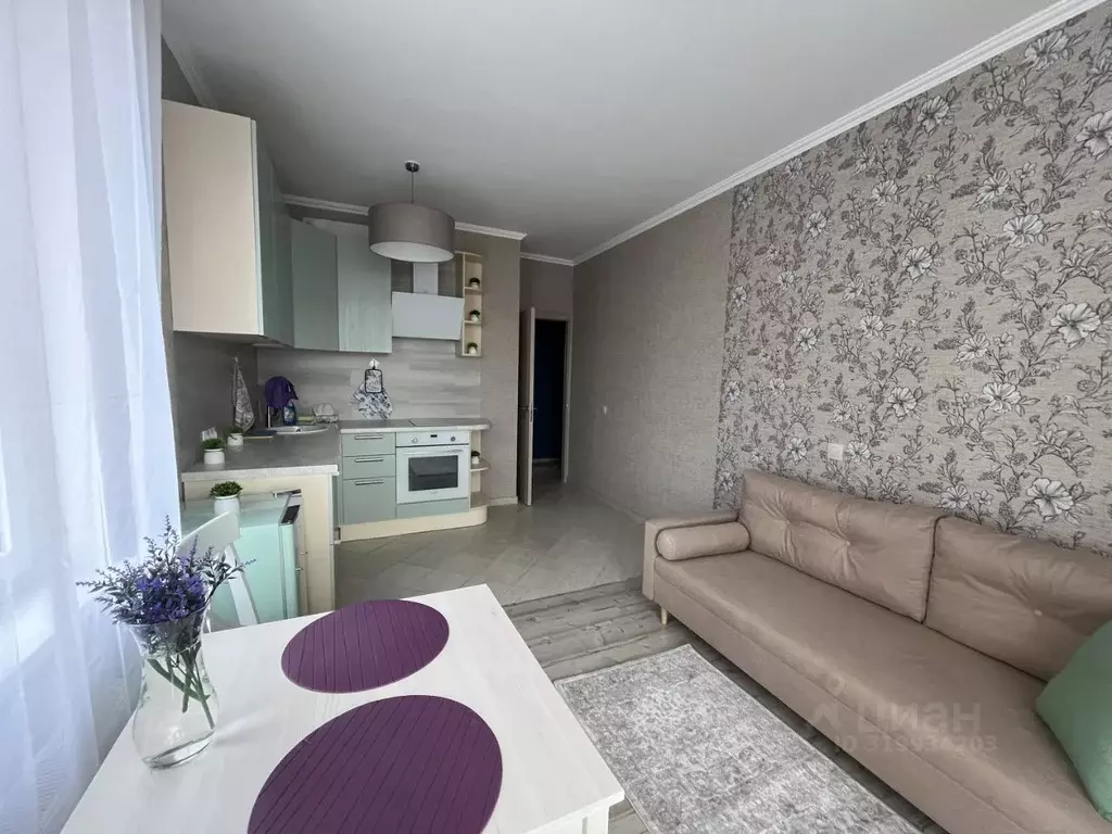 Студия Санкт-Петербург Комендантский просп., 60к3 (24.3 м) - Фото 2