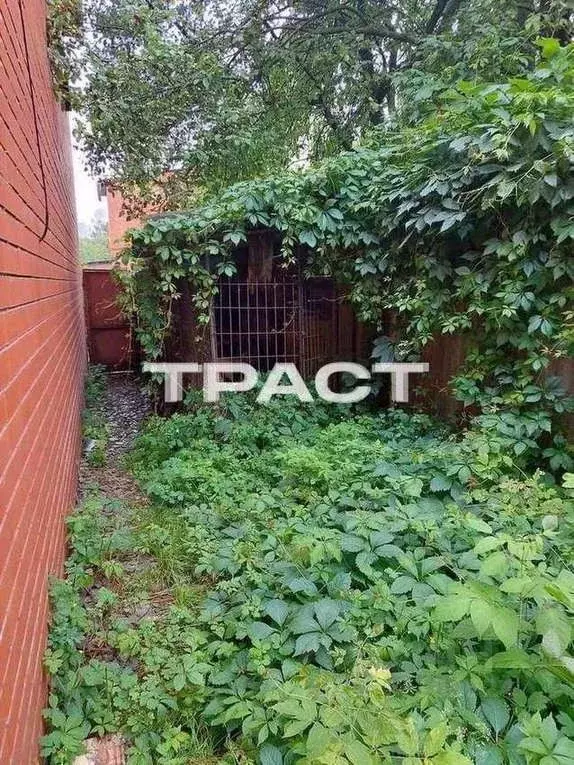 Дом в Воронежская область, Воронеж Солнечная ул., 51 (220 м) - Фото 2