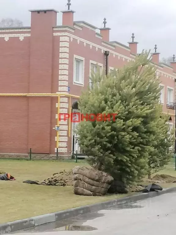 Таунхаус в Новосибирская область, Новосибирский район, Станционный ... - Фото 0