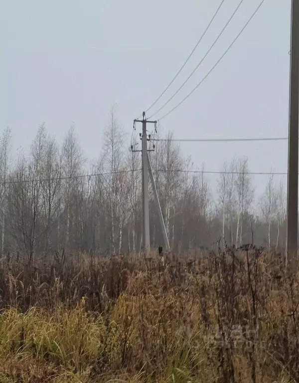 Участок в Калужская область, Калуга городской округ, д. Лихун  (27.0 ... - Фото 2