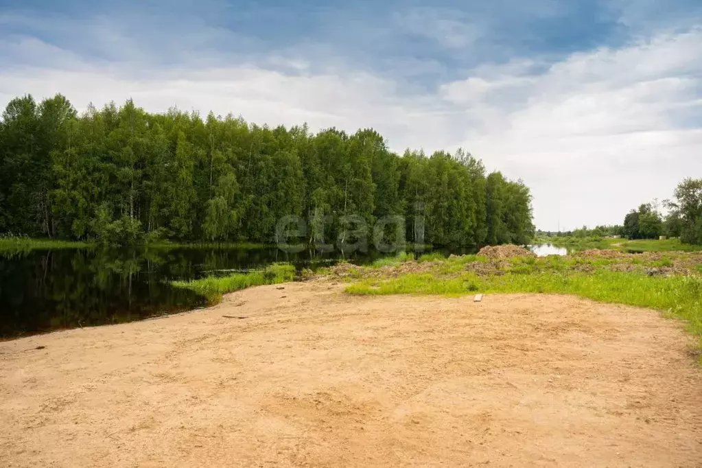 Участок в Вологодская область, Сокольский муниципальный округ, д. ... - Фото 1