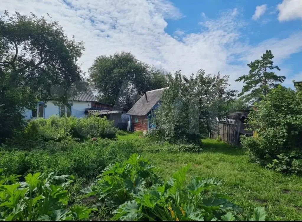 Дом 38,7 м на участке 24 сот. - Фото 1