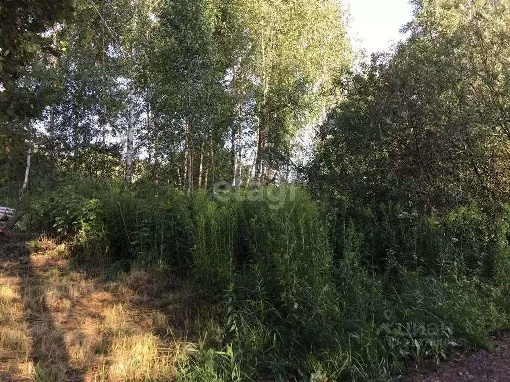 Участок в Калужская область, Калуга ул. 4-я Кольцевая (6.8 сот.) - Фото 2