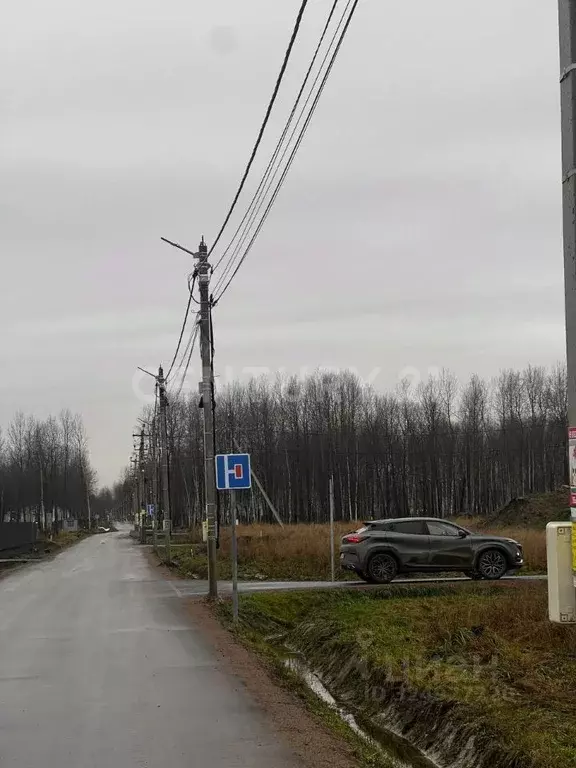 Участок в Санкт-Петербург, Санкт-Петербург, Павловск Павлов Скай кп, ... - Фото 1