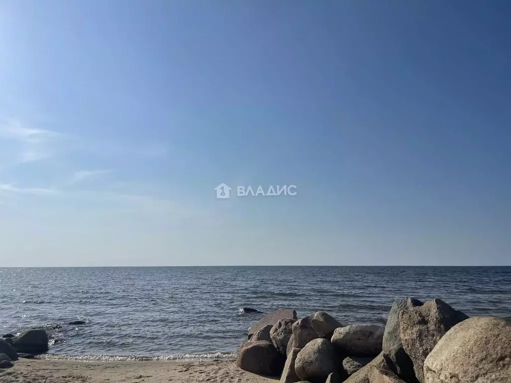 Участок в Ярославская область, Рыбинский муниципальный округ, д. ... - Фото 1