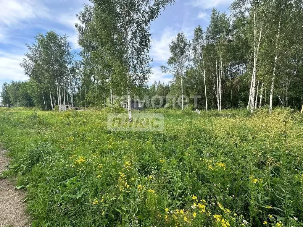 Участок в Ярославская область, Переславль-Залесский городской округ, ... - Фото 0