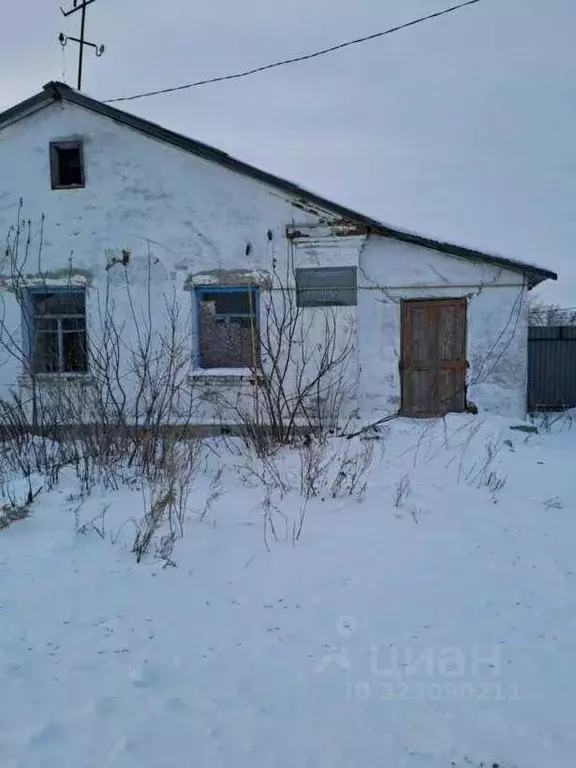 Помещение свободного назначения в Курганская область, Щучанский ... - Фото 1