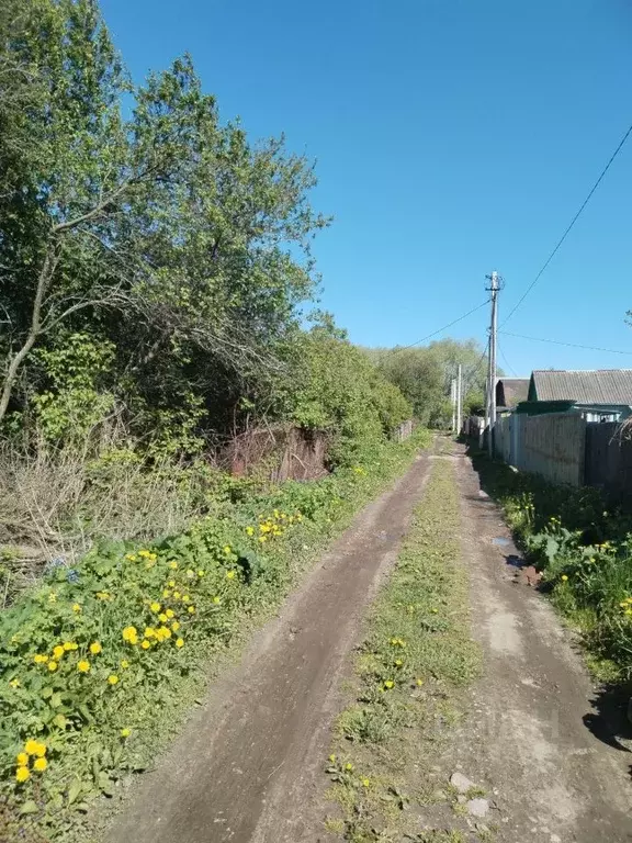 Участок в Рязанская область, Рязань Дружба садоводческое товарищество, ... - Фото 0