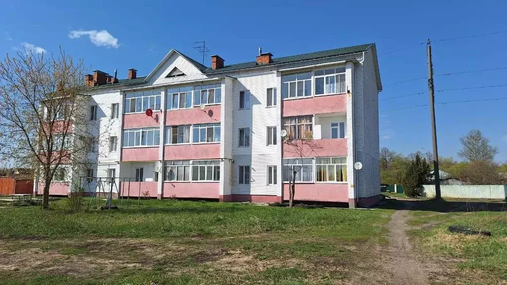 1-к кв. Брянская область, Брянск Белые Берега пгт, Транспортная ул., 2 ... - Фото 0