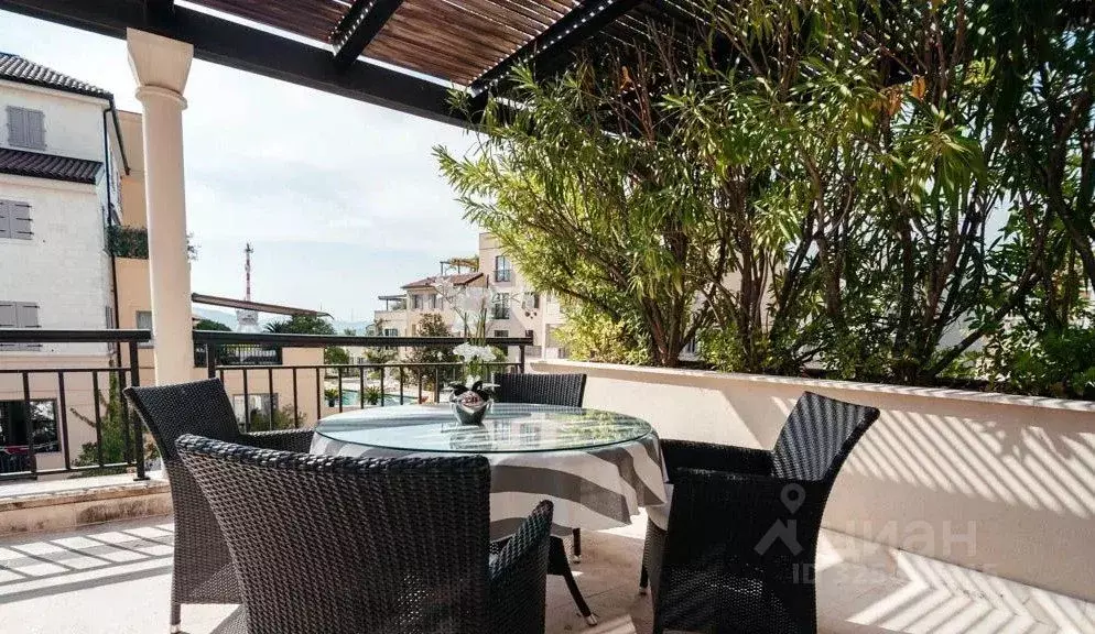 3-к кв. Краснодарский край, Сочи Курортный просп., 59 (79.0 м) - Фото 2