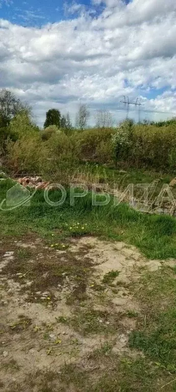 Участок в Тюменская область, Тюмень Малинка садовое товарищество, ул. ... - Фото 2