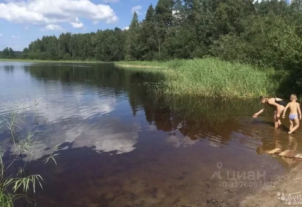 Коттедж в Ленинградская область, Приозерский район, Ромашкинское ... - Фото 1