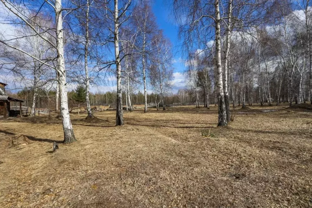 Участок в Иркутская область, Иркутский муниципальный округ, д. Куда ... - Фото 1