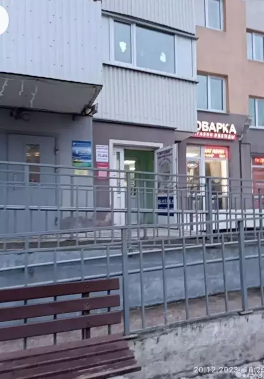 Торговая площадь в Санкт-Петербург пос. Шушары, ул. Вишерская, 1к1 (25 ... - Фото 0