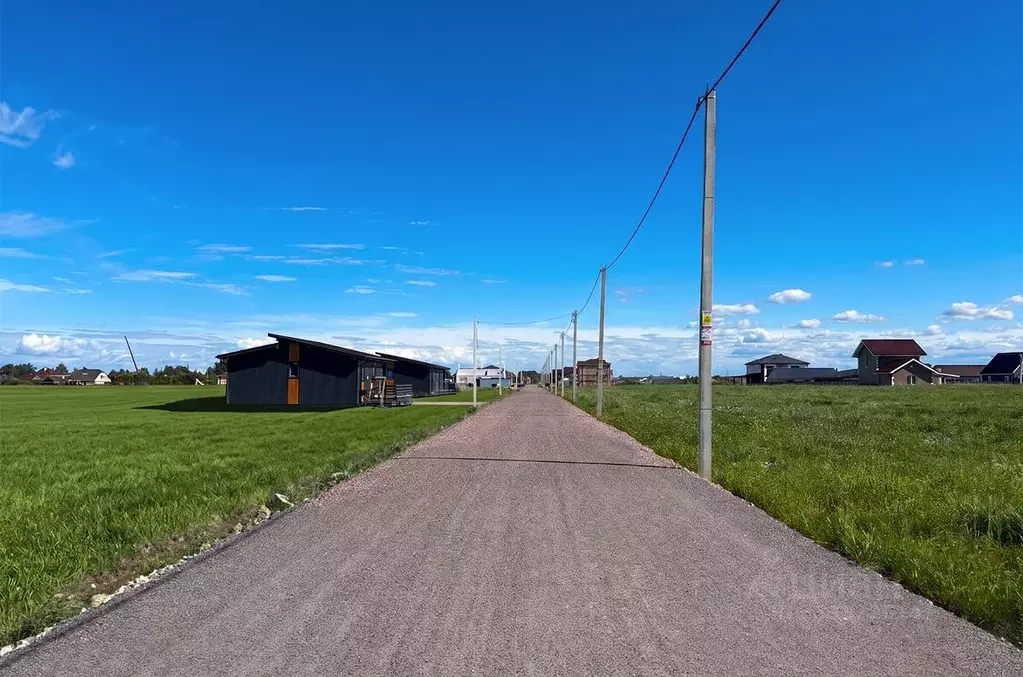 Участок в Санкт-Петербург, Санкт-Петербург, Петергоф ш. Ольгинское, ... - Фото 1