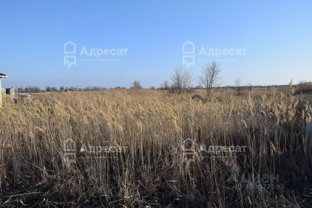 Участок в Волгоградская область, Краснослободск Среднеахтубинский ... - Фото 1