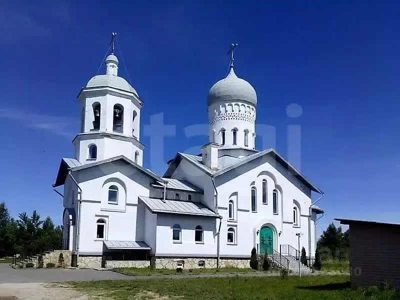 Участок в Псковская область, Печорский муниципальный округ, д. Моложва ... - Фото 1