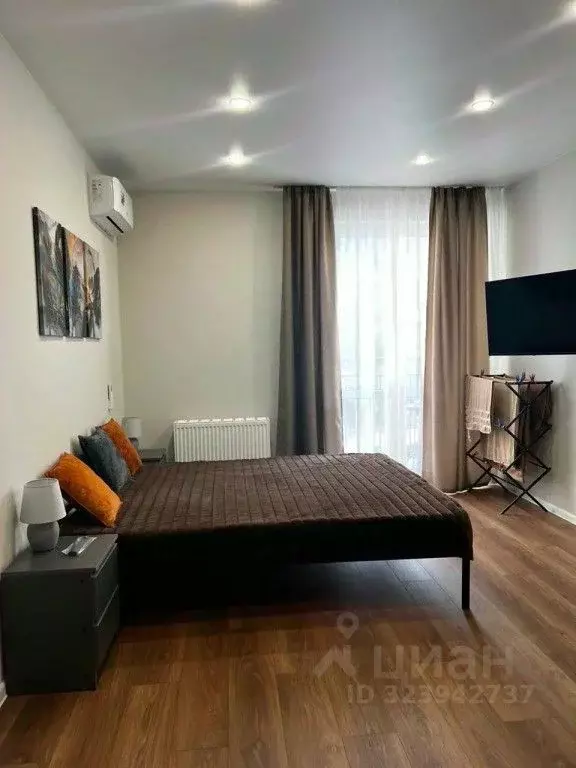 1-к кв. Краснодарский край, Сочи ул. Искры, 88 (30.0 м) - Фото 2