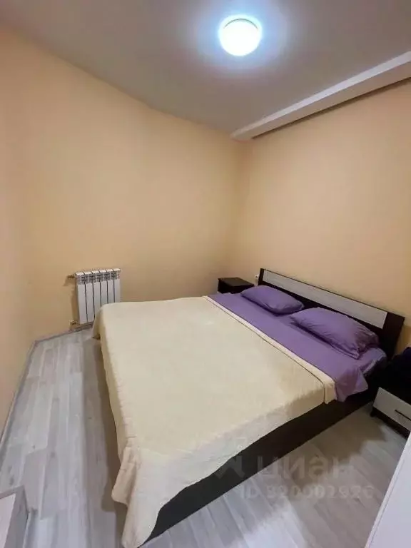 1-к кв. Воронежская область, Воронеж ул. Кирова, 22 (25.0 м) - Фото 1