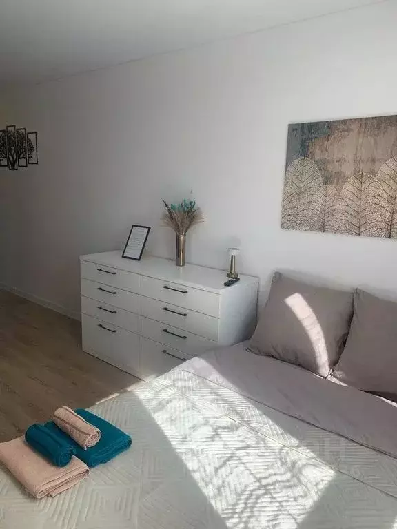 Студия Москва Десеновское поселение, ул. 3-я Нововатутинская, 15к2 ... - Фото 2