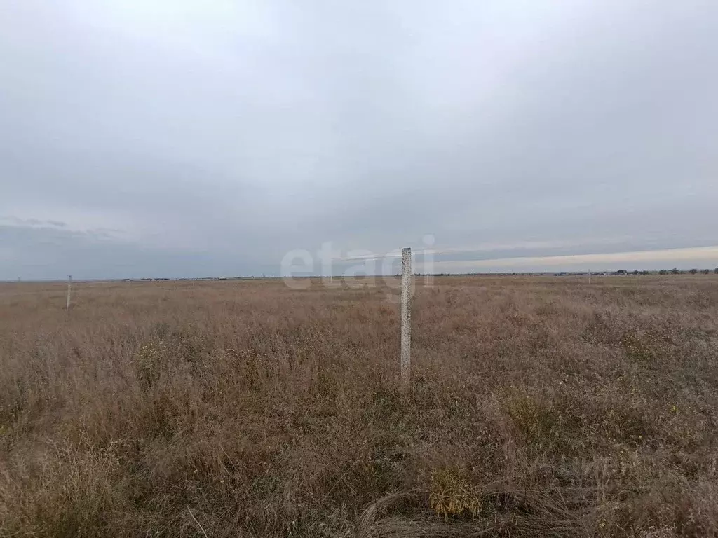 Участок в Крым, Сакский район, Молочненское с/пос, с. Витино  (6.0 ... - Фото 1
