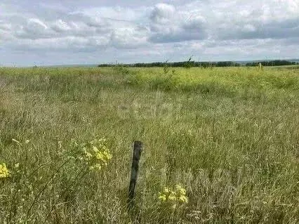 Участок в Ульяновская область, Чердаклинский район, Белоярское с/пос, ... - Фото 2