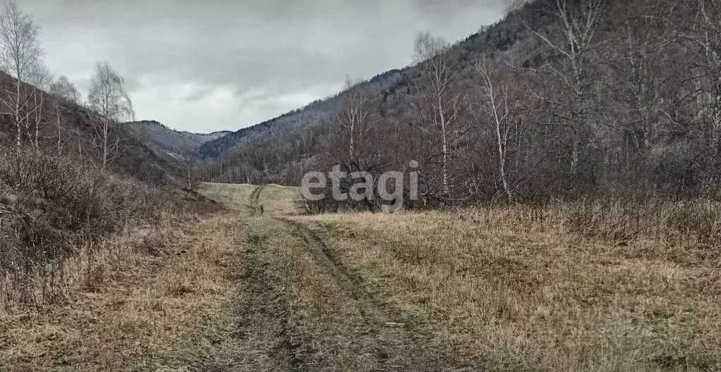 Участок в Алтай, Чемальский район, с. Чемал  (65.0 сот.) - Фото 1