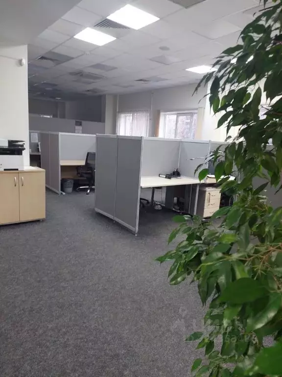 Помещение свободного назначения в Москва ул. Габричевского, 5К9 (2148 ... - Фото 1