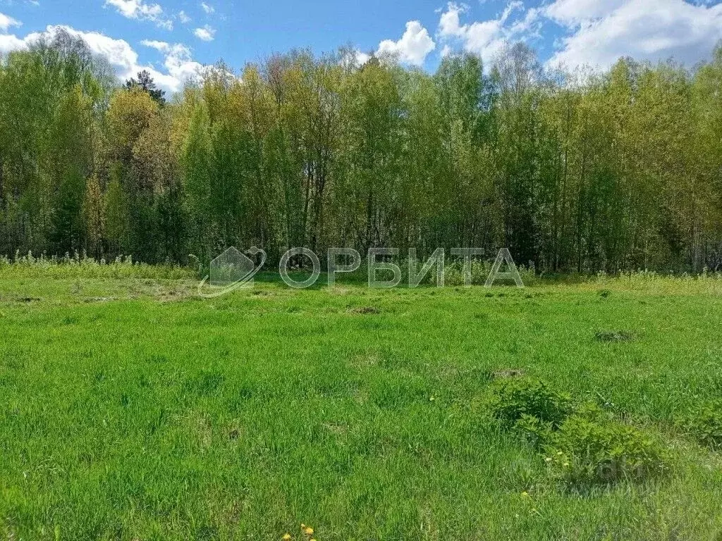 Участок в Тюменская область, Тюменский район, с. Кулига, Сказка кп  ... - Фото 1