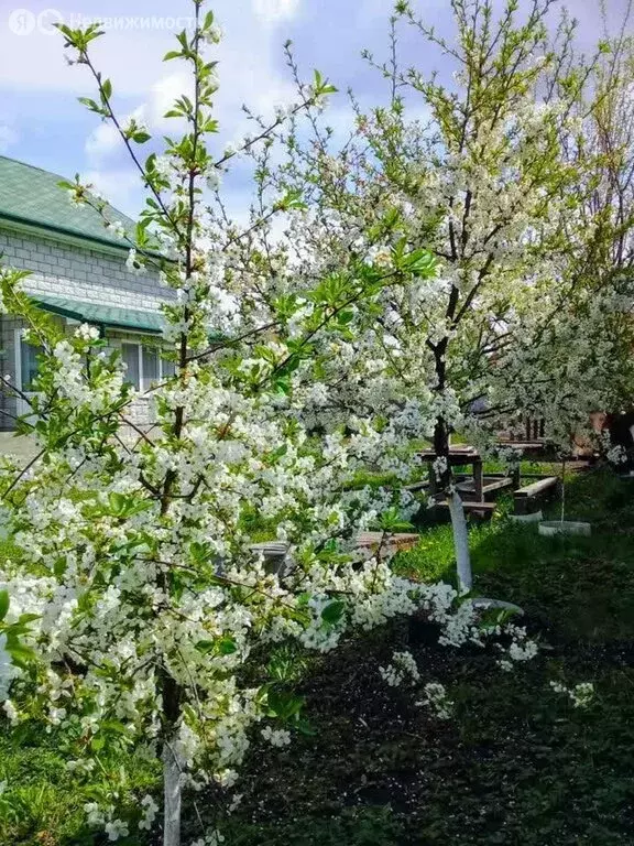 Дом в рабочий посёлок Разумное, Кольцевая улица (190 м) - Фото 2